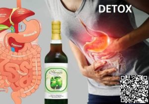 DXN Morinzhi Juice 