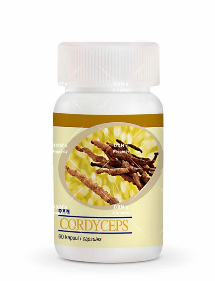 DXN Cordyceps Capsule 60 x 450 mg - ganodermashop.net 2025