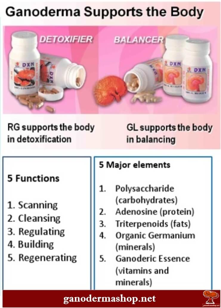 GANODERMA RG VS GL Ganoderma benefits GANODERMA RG VS GL - RG and GL benefits